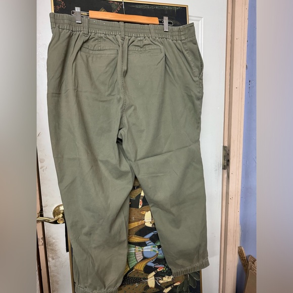 Petite 2X The Talbots Jogger Pant in Olive - Picture 10 of 11